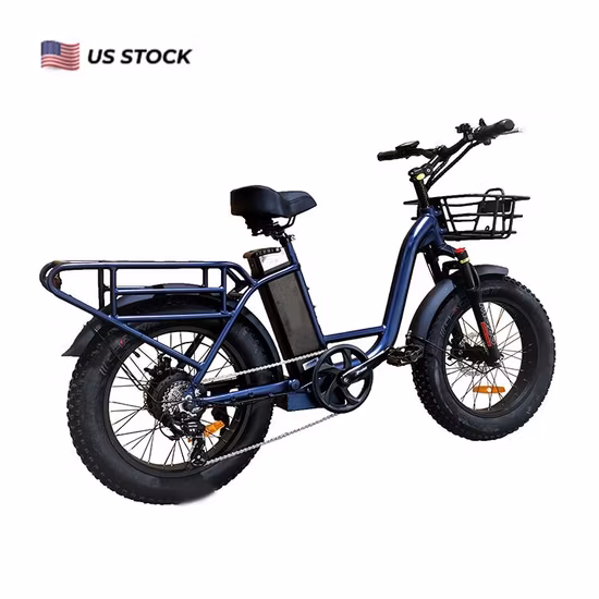 Nouveau vélo électrique 20 pouces Fat Tire Cargo City 5% de réduction