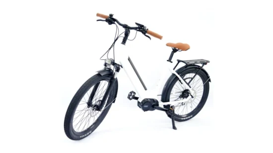 26 pouces femmes populaire équitation vélo électrique 6061 cadre en alliage d'aluminium utilitaire vélo de route Vinka 36V 250W MID Drive Set moteur Ebike