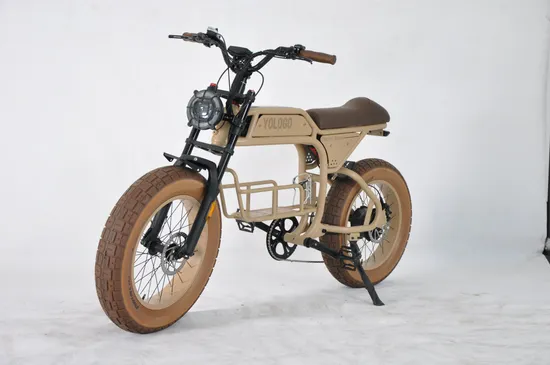 20*4.0 Fat Tire Male Mountain and Commuting Cadre en aluminium Vélo électrique E-Bicycle Ebike