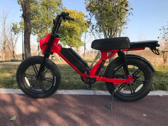 Vélo de vélo de scooter électrique 1000W 52V avec gros pneu de 20 pouces